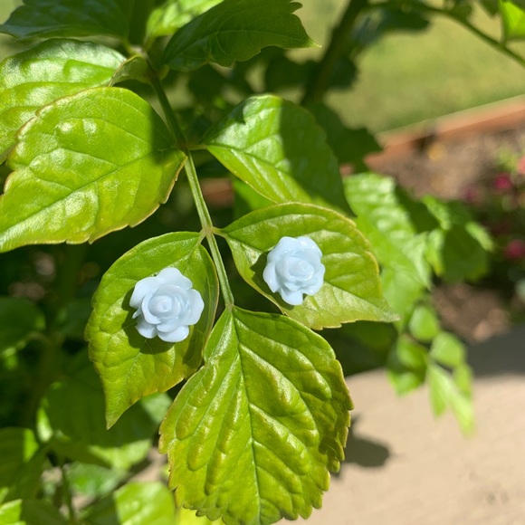 Stud earrings - Picture 2 of 3